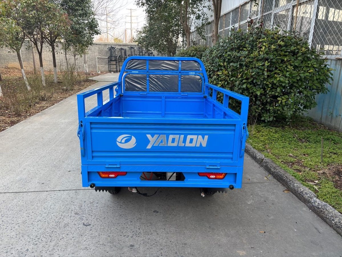 BLUE CARGA 1000W, foto 3